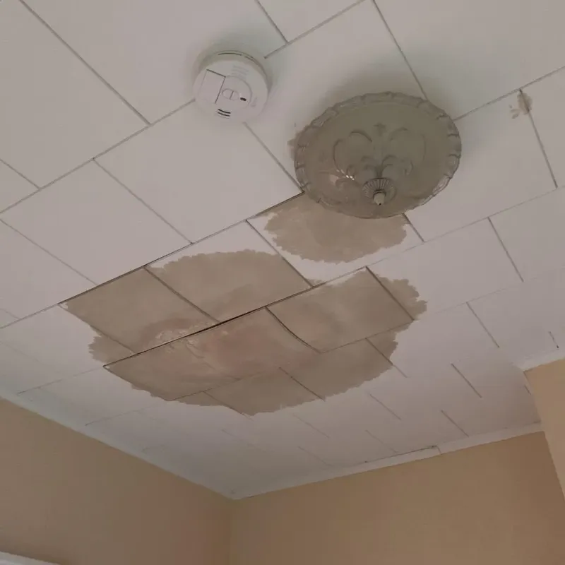 Ceiling Water Damage Repair in Naples, UT