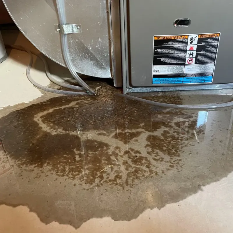 Pipe Burst and Leak Restoration in Naples, UT