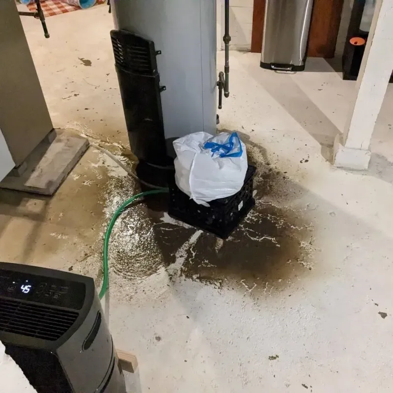 Sewage Backup Cleanup Service in Naples, UT